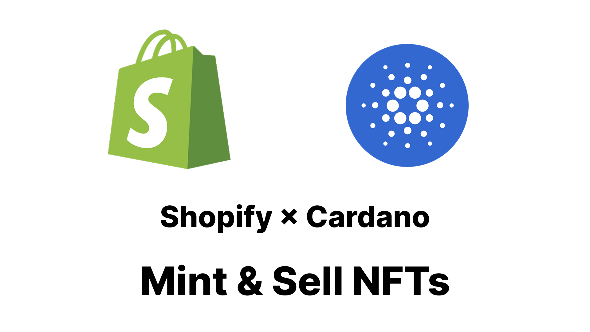 Cardano NFT販売用 Shopifyプラグイン開発
